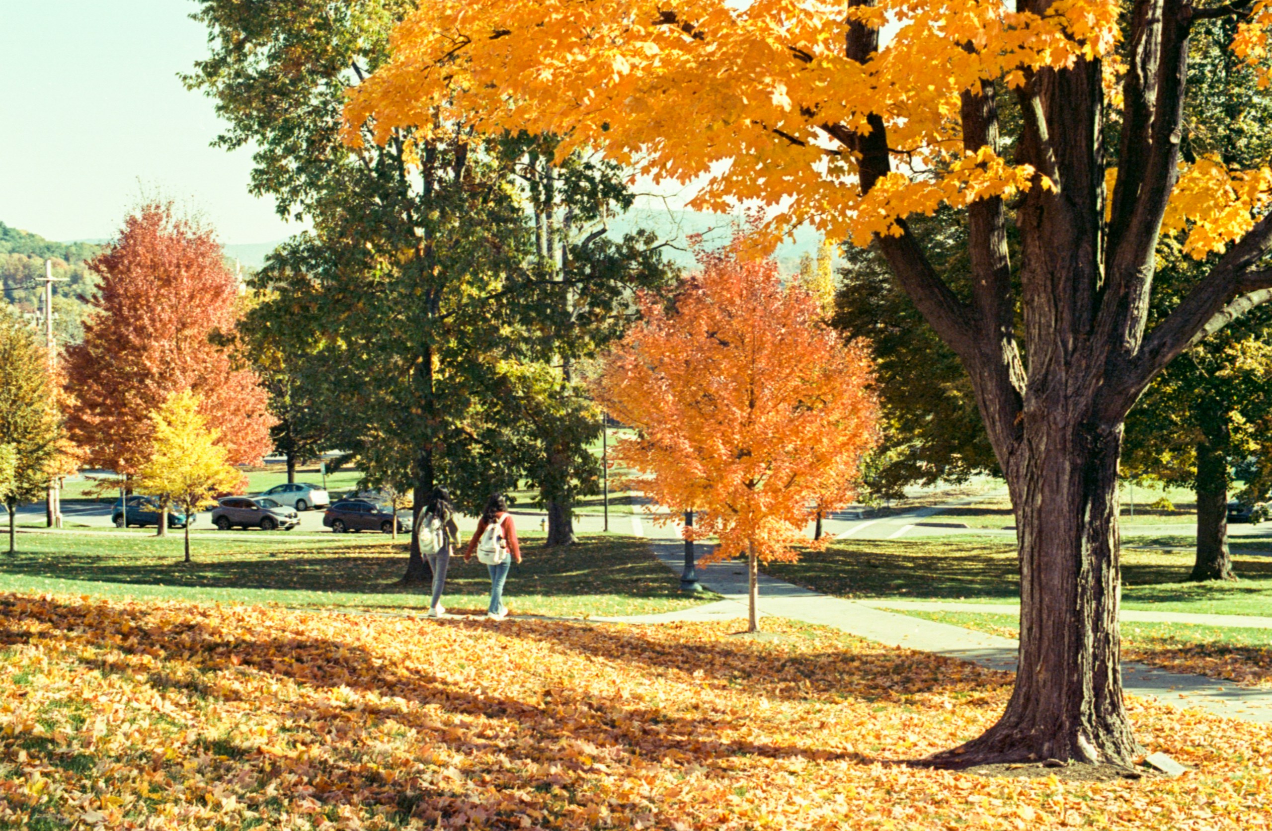 A couple walking through autumn trees on campus