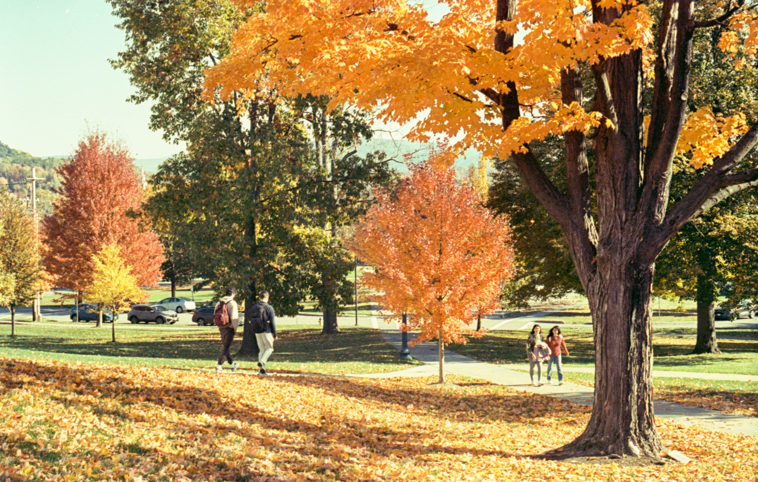 People walking a tree-lined campus path in autumn